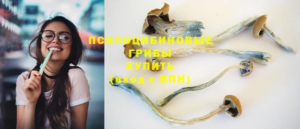 марки nbome Лиски