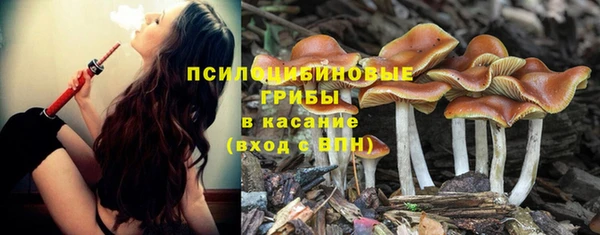 марки nbome Лиски
